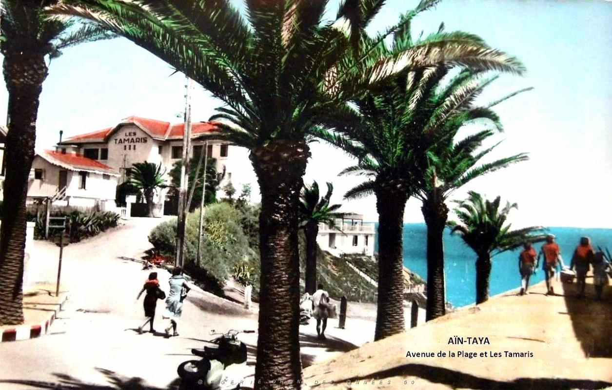 Ain-Taya - Avenue de la Plage et Hotel Les Tamaris.jpg
